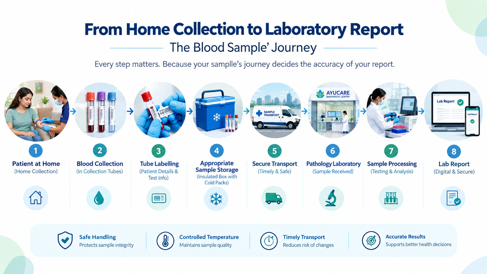 Infographic of a blood sample&rsquo;s journey from home collection to the laboratory