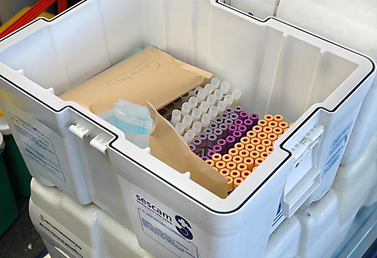 Cold chain management: blood samples kept chilled in an insulated transport box